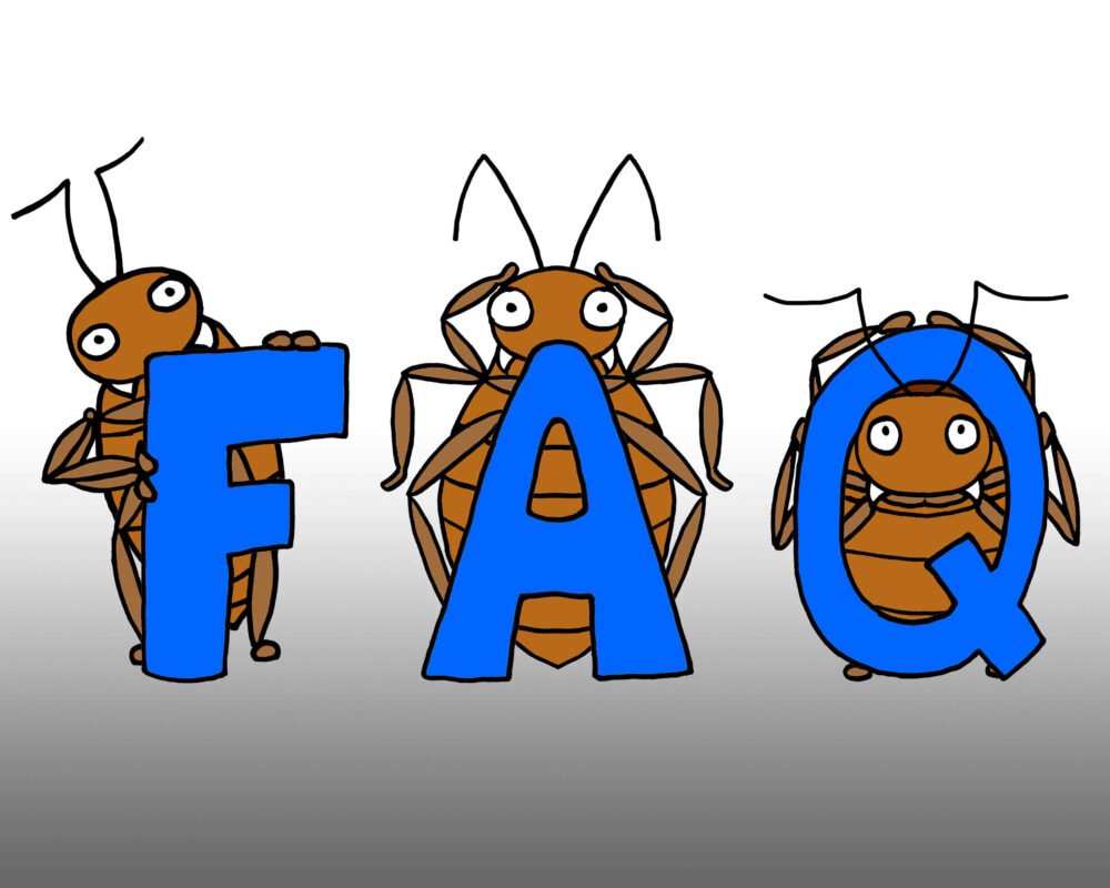 Frequently Asked Questions Bed Bugs Limited London