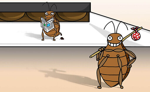 Bed Bug Passive Monitor by Bed Bugs Limited of London, learn more about Passive Monitors