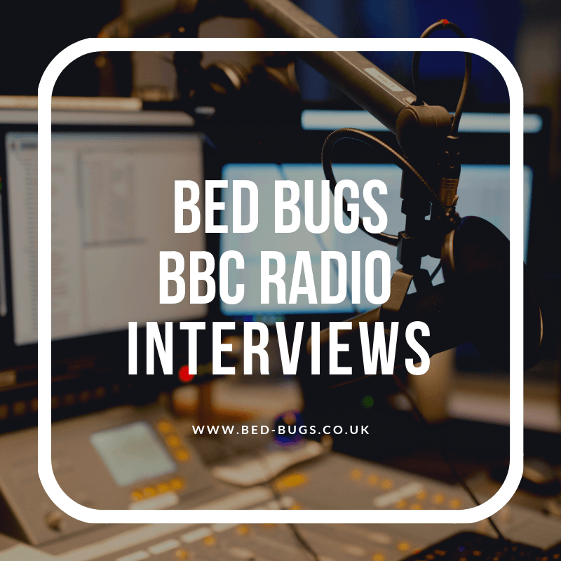 BBC Radio interview with David Cain discussing the increasing bed bug infestations by Bed Bugs Limited of London