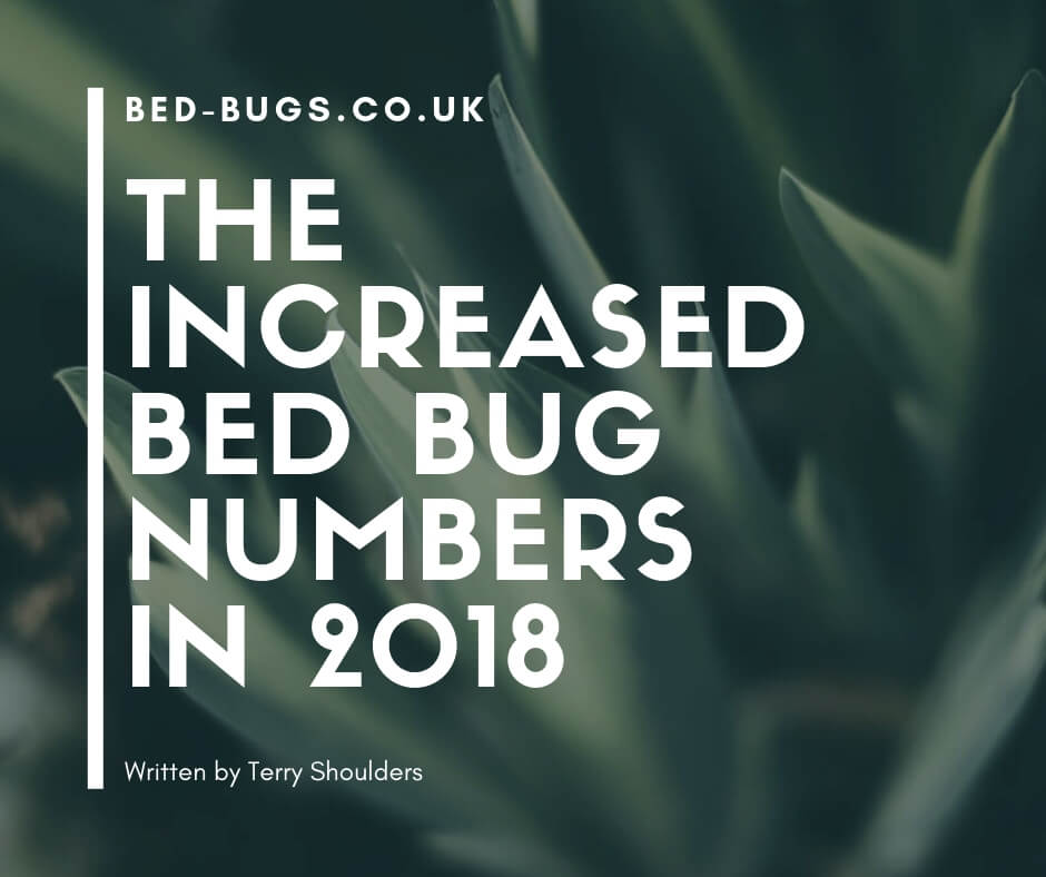 The increased bed bug numbers in 2018 by Bed Bugs Limited of London