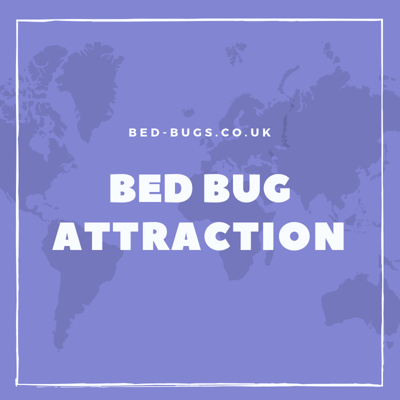 bed bug attraction by Bed Bugs Limited of London